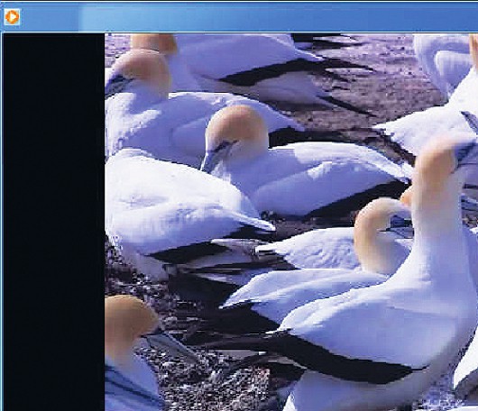 Протестируйте перед покупкой!