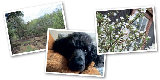 Большие возможности – компактный корпус