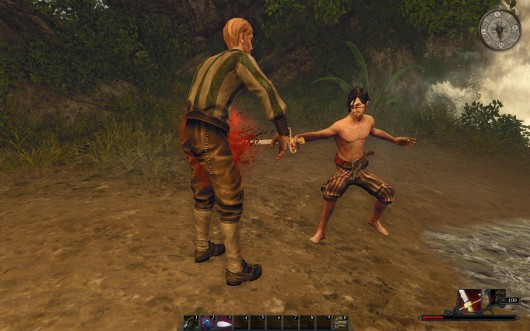 Risen 2: Dark Waters -- Пираты неизвестного моря