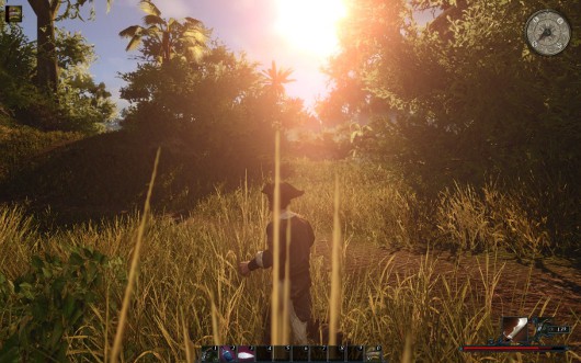 Risen 2: Dark Waters -- Пираты неизвестного моря