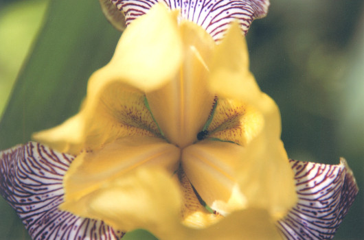 Такая разная… фотобумага