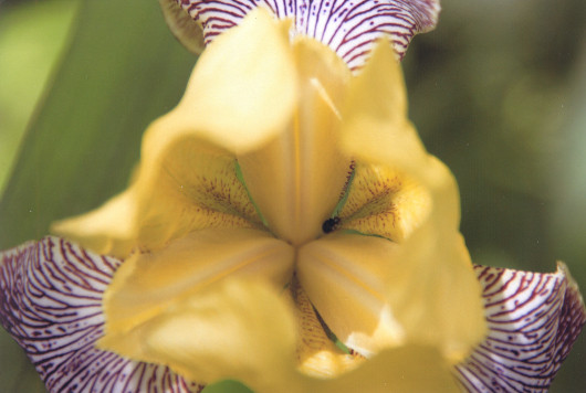 Такая разная… фотобумага