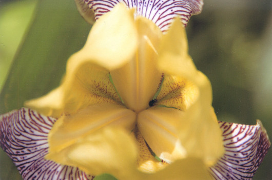 Такая разная… фотобумага