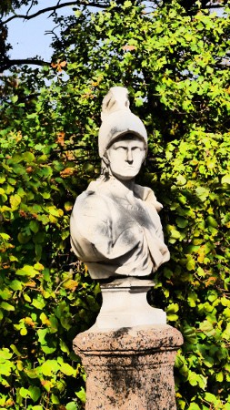 Сложный выбор