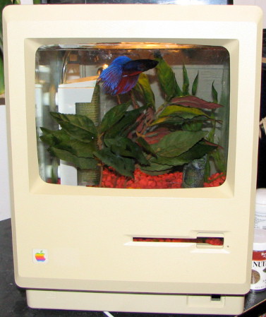 Настольный ПК будет жить вечно