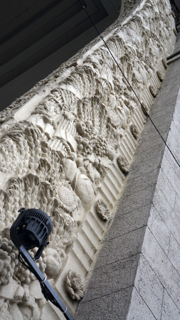 Беззеркальное царство