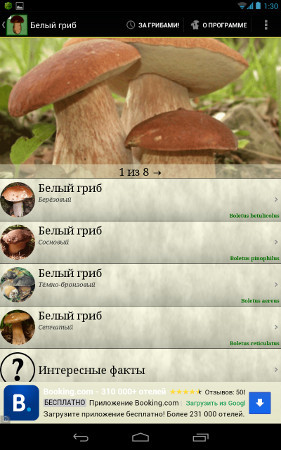 Обучаемся с интересом