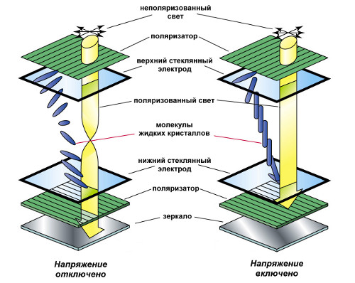 Жидкокристаллическая радуга