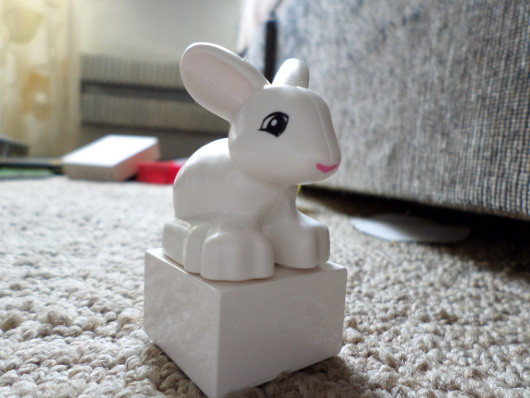 Фото для начинающих