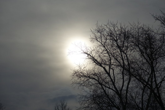 Высший уровень