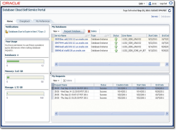 Рис. 3. Пример экрана портала самообслуживания