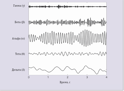 Идентификация по электроэнцефалограмме