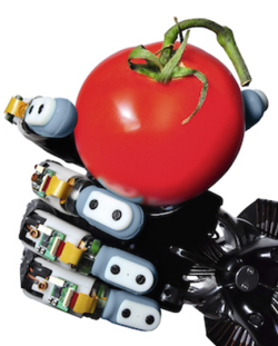 Роботизированный палец с чувствительностью лучше, чем у человеческого