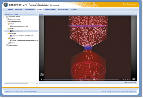 Рис. 2. Пример интерфейса комплекса nanoModel.ru — исследование диффузии газа через мембрану