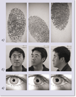 Рис. 3. Естественная вариабельность биометрических образцов одного и того же индивидуума: а — вариации в рисунке отпечатка одного и того же пальца при разном положении пальца на датчике; б — вариации снимка одного и того же лица, обусловленные изменениями позы; в — вариации снимка радужной оболочки одного и того же глаза из-за сужения зрачка и изменения направления взгляда