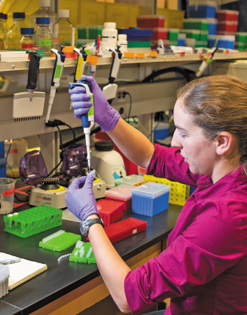 Smoke on the Water записали на ДНК