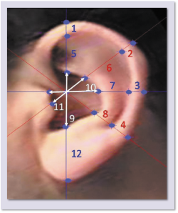 Биометрическое распознавание по ушам