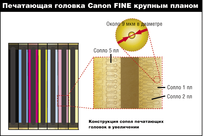 Дюзы печатающей головки. Дюзы печатающей головки под микроскопом. Печатающая головка струйного принтера под микроскопом. Схема печатающей головки струйного. Дюзы печатающая головка д805 под микроскопом.