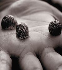 Индейцы из племени Пираха склонны к упрощению арифметики — поймав трех улиток, они говорят: «несколько». Примерно так же сегодня мы пытаемся решить проблему Больших Данных.