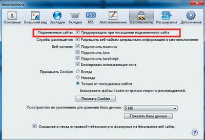 Экран 5. Параметры Safari