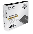 PNY Prevail SSD