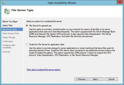 Выбор варианта файлового сервера