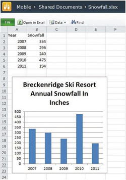 Обзор рабочей книги Microsoft Excel в веб-браузере