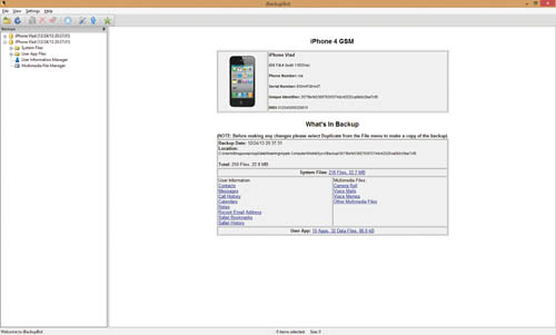 Главное окно iBackupBot