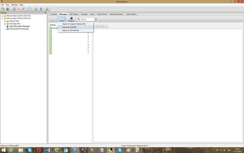 Экспорт СМС