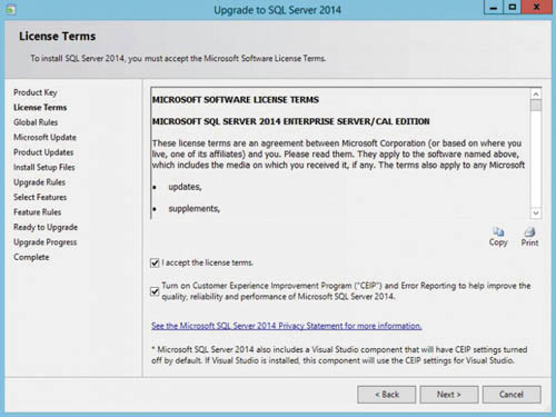 Окно условий лицензирования License Terms