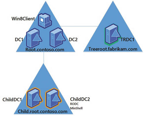 Архитектура леса