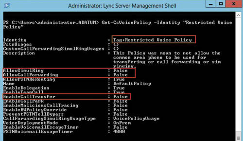Просмотр голосовых политик
