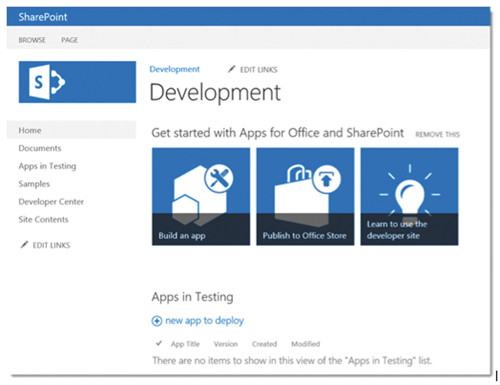 Шаблон Development Site