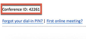 Экран 1. Идентификатор конференций из клиента Mac