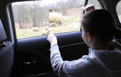 Иллюстрация: Toyota