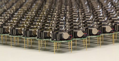 Фото: Michael Rubenstein