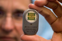 Источник: MIT/Scott Brauer