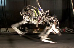 Фото: www.bostondynamics.com