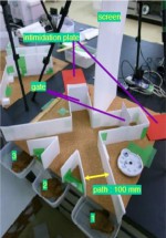 Японо-британская группа ученых сконструировала компьютер из... живых крабов