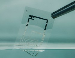 электронные имплантаты, рассасывающиеся в организме, биомедицина, электронный термометр