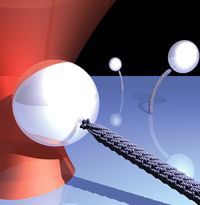 Стэнфорд Bi-Fi биологический Интернет