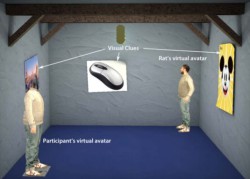 Испанские ученые «оттранслировали» человека в ящик с крысой за 12 километров