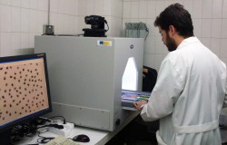 В Испании научились определять идеальное время сбора винограда по фотографии