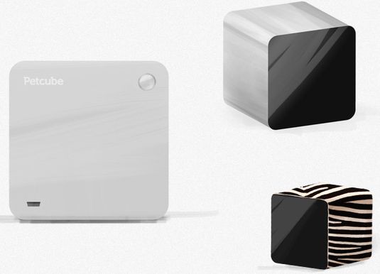Petcube 