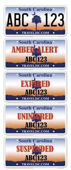 электронные номерные знаки