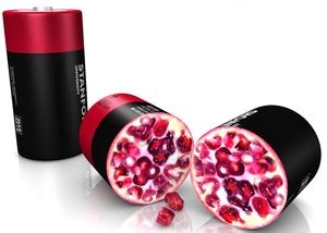 Гранатовый анод - Стэнфорд