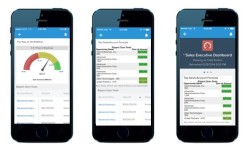 CRM-приложение Salesforce1