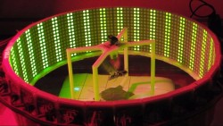 Мотыльки - биороботы - киборги