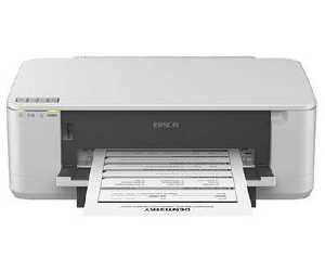 Epson K101 