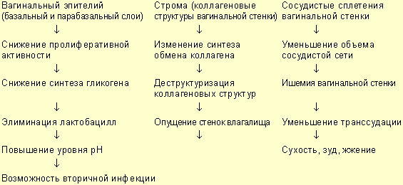 Атрофический вагинит. Атрофический кольпит в менопаузе. Атрофический кольпит у женщин менопаузального периода. Атрофический вагинит лекарство.